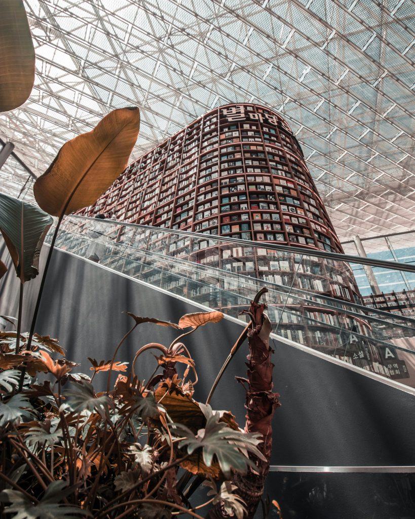 The Function of AI in Fashionable Libraries: From Cataloging to Customized Suggestions – AI Time Journal – Synthetic Intelligence, Automation, Work and Business The Function of AI in Fashionable Libraries: From Cataloging to Customized Suggestions – AI Time Journal – Synthetic Intelligence, Automation, Work and Business
